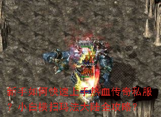 ������ο���������Ѫ����˽����С�׺�ɨ�귨��½ȫ���ԣ�