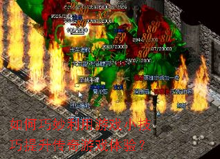 �������������ϷС��������������Ϸ���飿