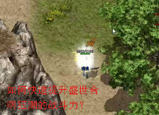 如何快速提升盛世合响狂潮的战斗力? 如何快速提升盛世合响狂潮的战斗力?