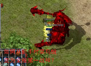 ��δ����ִ�����ɱ�Ϊȫ����һս��