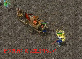 �·�������ο�������ս����