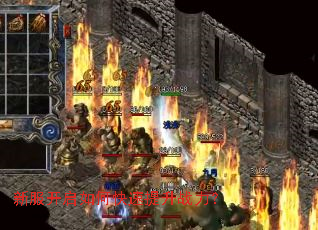 �·�������ο�������ս����