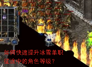 ��ο���������ѩ��ְ��;�еĽ�ɫ�ȼ���