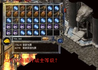 ��ο�������սʿ�ȼ���