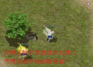 ��δ����ֿ��ٳɳ�Ϊ���Ŵ���˽���е��۷�ǿ�ߣ�