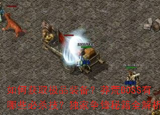 ��λ�ȡ��Ʒװ����ç��BOSS����Щ��ɱ�������������ؼ�ȫ����