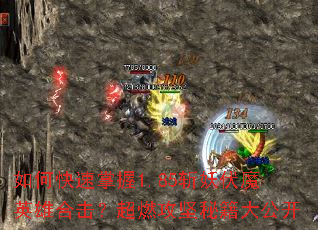 ��ο�������1.85ն����ħӢ�ۺϻ�����ȼ�����ؼ��󹫿�