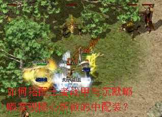 如何搭配王者战甲与沉默嘟嘟实现随心所欲的中配装? 如何搭配王者战甲与沉默嘟嘟实现随心所欲的中配装?