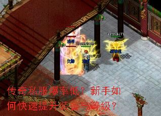 传奇私服爆率低?新手如何快速提升装备与等级? 传奇私服爆率低?新手如何快速提升装备与等级?