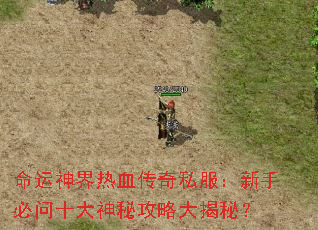 ���������Ѫ����˽�������ֱ���ʮ�����ع��Դ���أ�