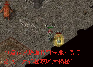 ���������Ѫ����˽�������ֱ���ʮ�����ع��Դ���أ�