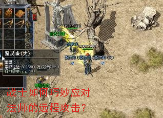 սʿ�������Ӧ�Է�ʦ��Զ�̹�����