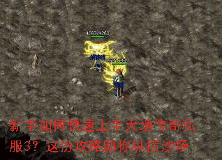 新手如何快速上手天地传奇私服3?这份攻略助你纵横沙场 新手如何快速上手天地传奇私服3?这份攻略助你纵横沙场