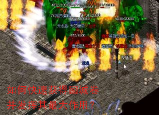 ��ο��ٻ�ûسǾ���������������ã�