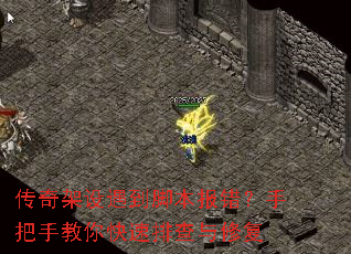 ������������ű��������ְ��ֽ�������Ų����޸�