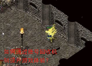 ���ͨ���˺Ż��ջ���������Ϸ���飿