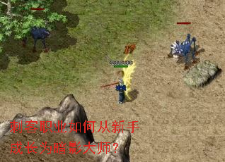 �̿�ְҵ��δ����ֳɳ�Ϊ��Ӱ��ʦ��