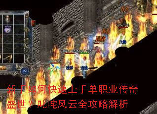 ������ο������ֵ�ְҵ����ʢ����߳�����ȫ���Խ���