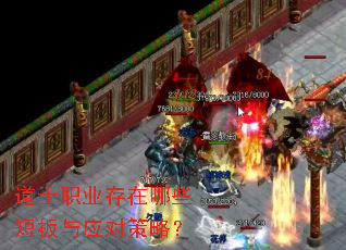 道士职业存在哪些短板与应对策略? 道士职业存在哪些短板与应对策略?