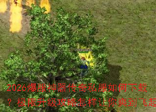 2026爆服神器传奇私服如何下载?极限升级攻略怎样让你爽到飞起? 2026爆服神器传奇私服如何下载?极限升级攻略怎样让你爽到飞起?