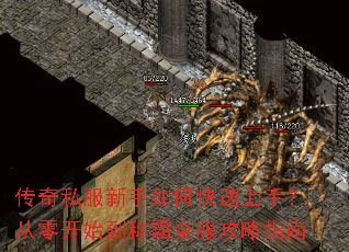 传奇私服新手如何快速上手?从零开始到称霸全服攻略指南 传奇私服新手如何快速上手?从零开始到称霸全服攻略指南