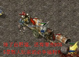 ���˰�Ұ����������ЩBOSS��ɢ����ҵı���������