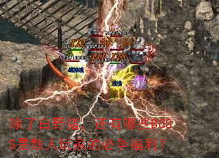 ���˰�Ұ����������ЩBOSS��ɢ����ҵı���������