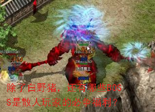 ���˰�Ұ����������ЩBOSS��ɢ����ҵı���������