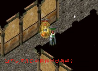 ��ο����������´�˵��������