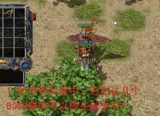 1.85传奇私服中,遇到这几个BOSS真的可以掉头就走吗? 1.85传奇私服中,遇到这几个BOSS真的可以掉头就走吗?