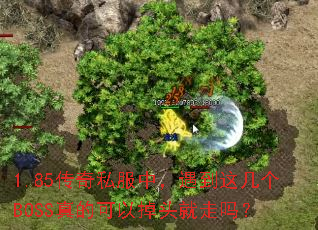 1.85传奇私服中,遇到这几个BOSS真的可以掉头就走吗? 1.85传奇私服中,遇到这几个BOSS真的可以掉头就走吗?