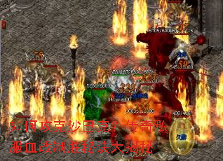 如何攻克沙巴克?传奇私服血战制胜秘诀大揭秘 如何攻克沙巴克?传奇私服血战制胜秘诀大揭秘