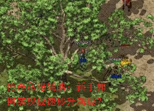 ����˽���������������ʵ�ּ�������������