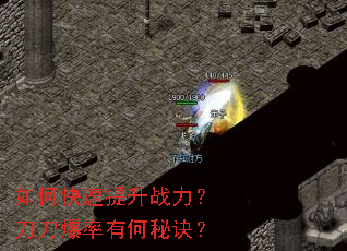 ��ο�������ս�������������к��ؾ���