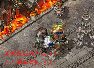 ��ο�������ս�������������к��ؾ���