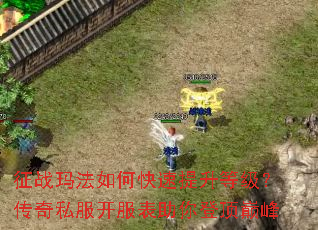 ��ս�귨��ο��������ȼ�������˽������������Ƕ��۷�