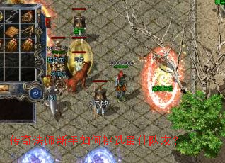 ���淨ʦ���������ѡ��Ѷ��ѣ�