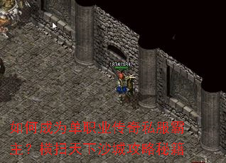 ��γ�Ϊ��ְҵ����˽����������ɨ����ɳ�ǹ����ؼ�