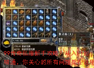 99����˽�����ֹ��ԣ������ŵ���ͨ������ĵ��������ⶼ������