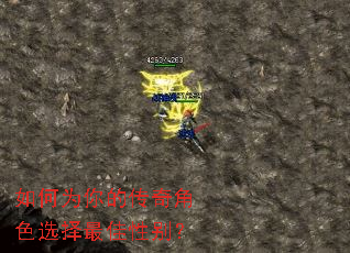 ���Ϊ��Ĵ����ɫѡ������Ա�