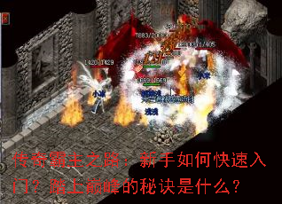 �������֮·��������ο������ţ�̤���۷���ؾ���ʲô��