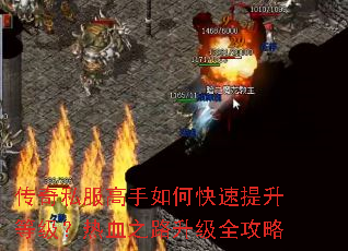 ����˽��������ο��������ȼ�����Ѫ֮·����ȫ����