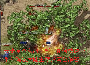 ��������˽����������ο������֣��귨��½����ָ��ȫ���