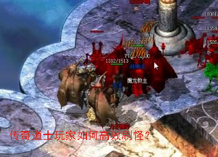 �����ʿ�����θ�Чˢ�֣�