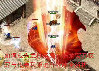 ��γ�Ϊ������������������ȡ�봫��˽�����׹���ȫ����