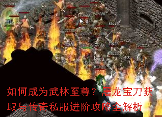 ��γ�Ϊ������������������ȡ�봫��˽�����׹���ȫ����