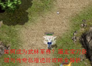 ��γ�Ϊ������������������ȡ�봫��˽�����׹���ȫ����