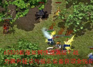 65535�·���ο���������ս������ؾ��뼫Ʒװ����ȡȫָ��