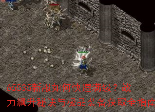 65535�·���ο���������ս������ؾ��뼫Ʒװ����ȡȫָ��