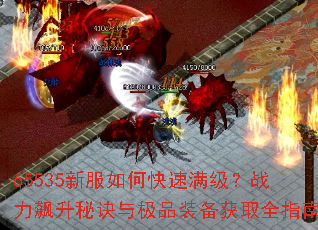 65535�·���ο���������ս������ؾ��뼫Ʒװ����ȡȫָ��